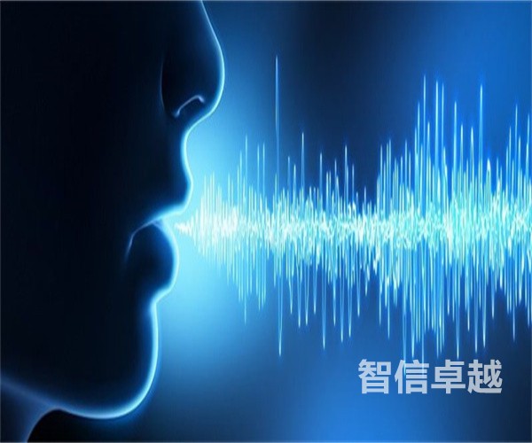 北京專業(yè)的護照翻譯-專業(yè)的英語留學護照翻譯