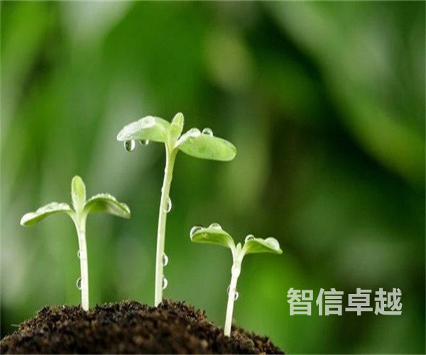 杭州英語(yǔ)翻譯公司的翻譯標(biāo)準(zhǔn)有哪些-杭州正規(guī)的英語(yǔ)翻譯公司