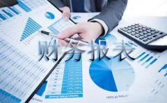 成都翻譯公司(年度財(cái)報(bào)翻譯)