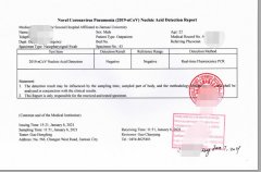 核酸檢測報告翻譯注意事項